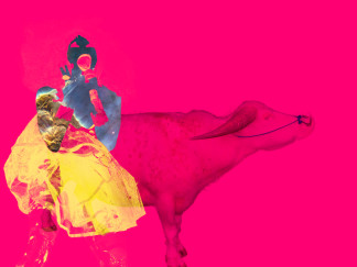 the naked empire ultra pink print